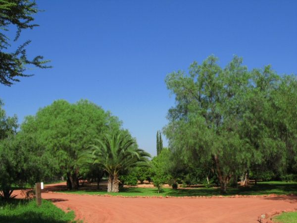 The garden at Wabi